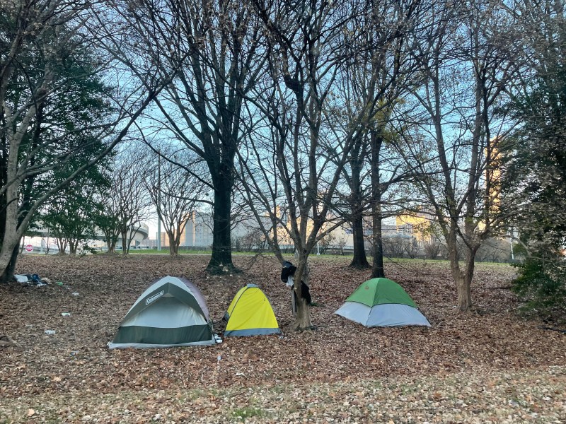 A photograph of three tents sitting beneath trees that shed their leaves.