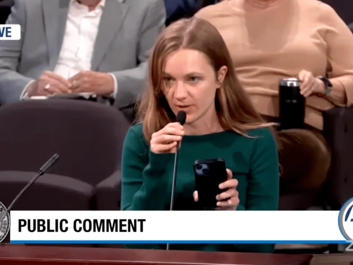 Facing public scrutiny, city council punts TAD-extension bill to 2026