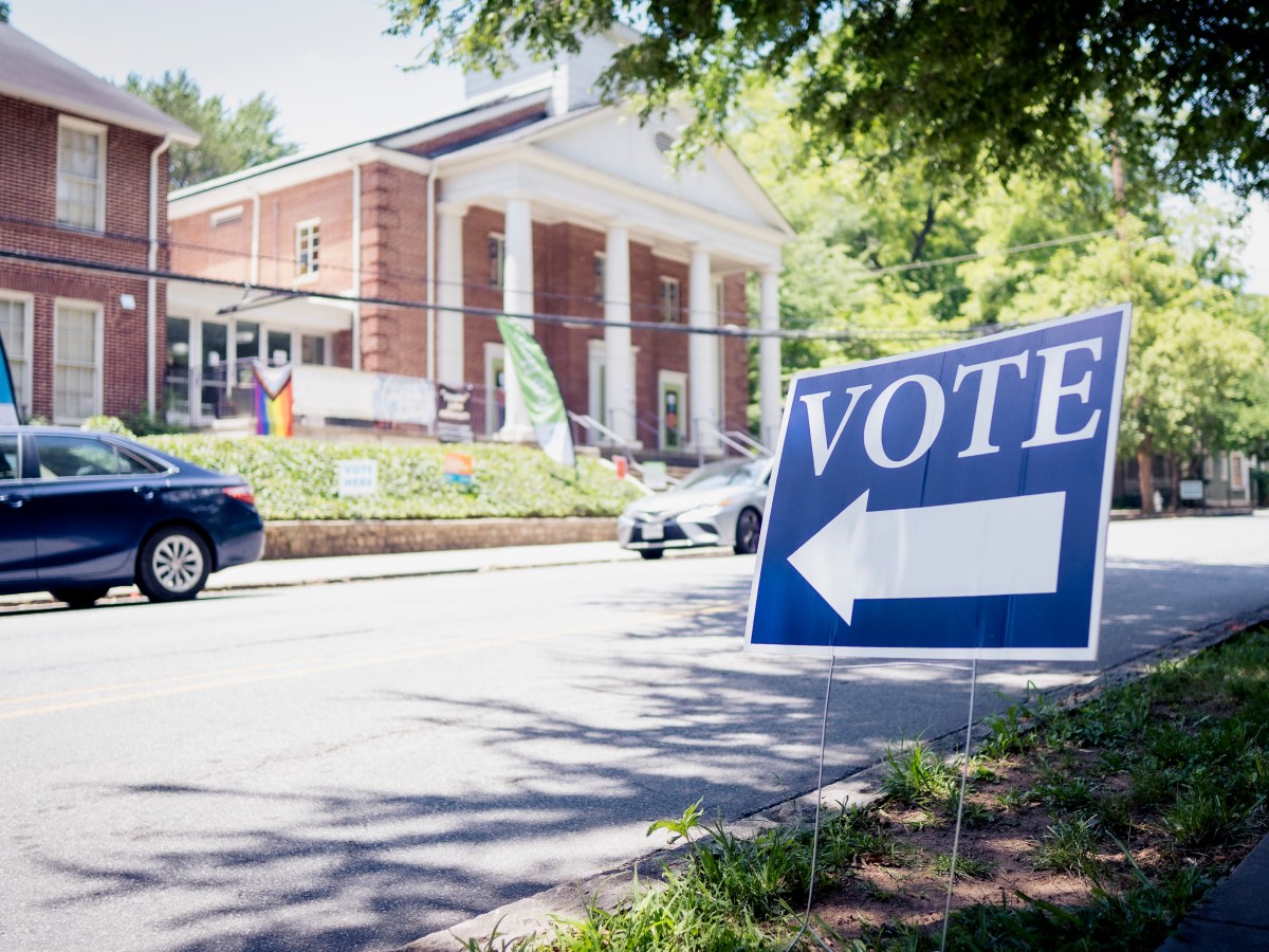 Metro Atlanta legislative primary runoffs to watch